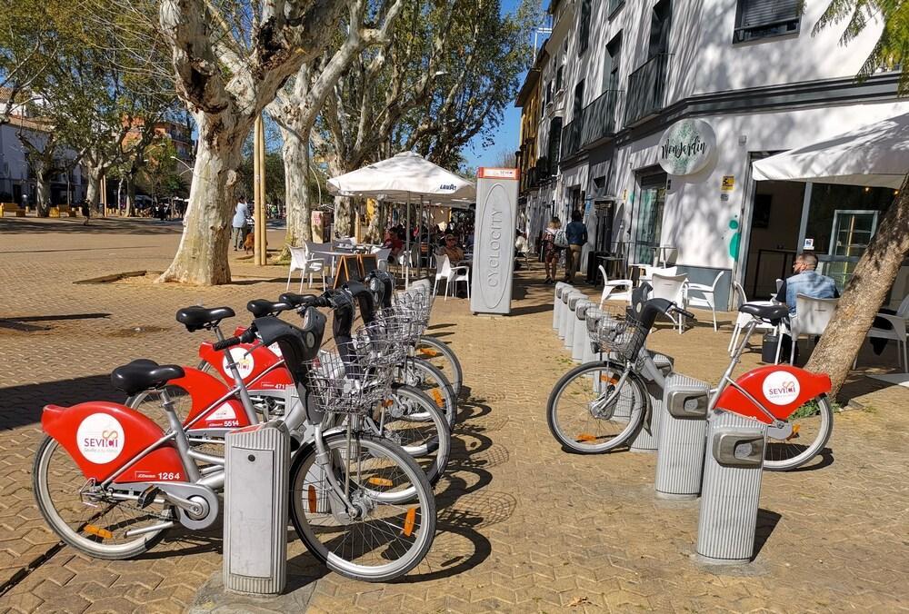 Teodosio And Free Parking